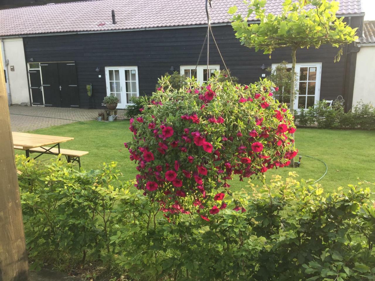 Bed & Breakfast Opperdoes المظهر الخارجي الصورة